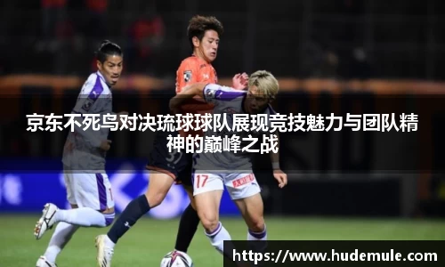 京东不死鸟对决琉球球队展现竞技魅力与团队精神的巅峰之战